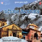 Badrinath Kedarnath - Pandit Ram Avtar Sharma Song Download
